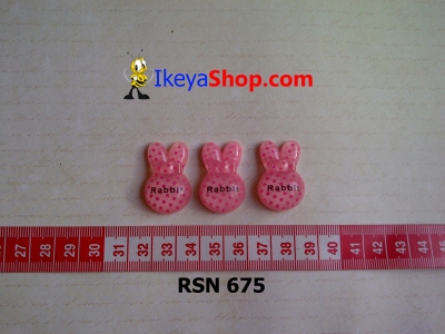 rsn 675  large2